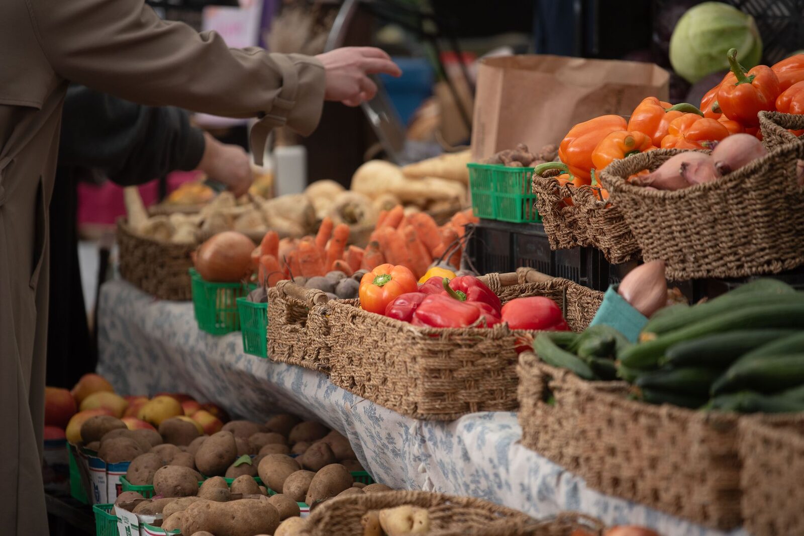 Légumes frais rangés dans un panier de marché